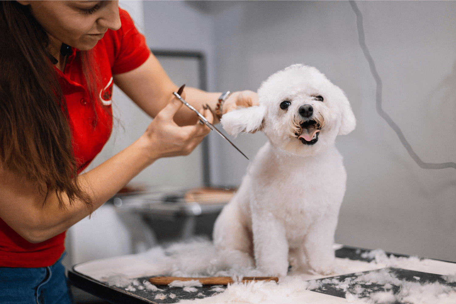Grooming A Puppy Made Easy: Nurture With Nature