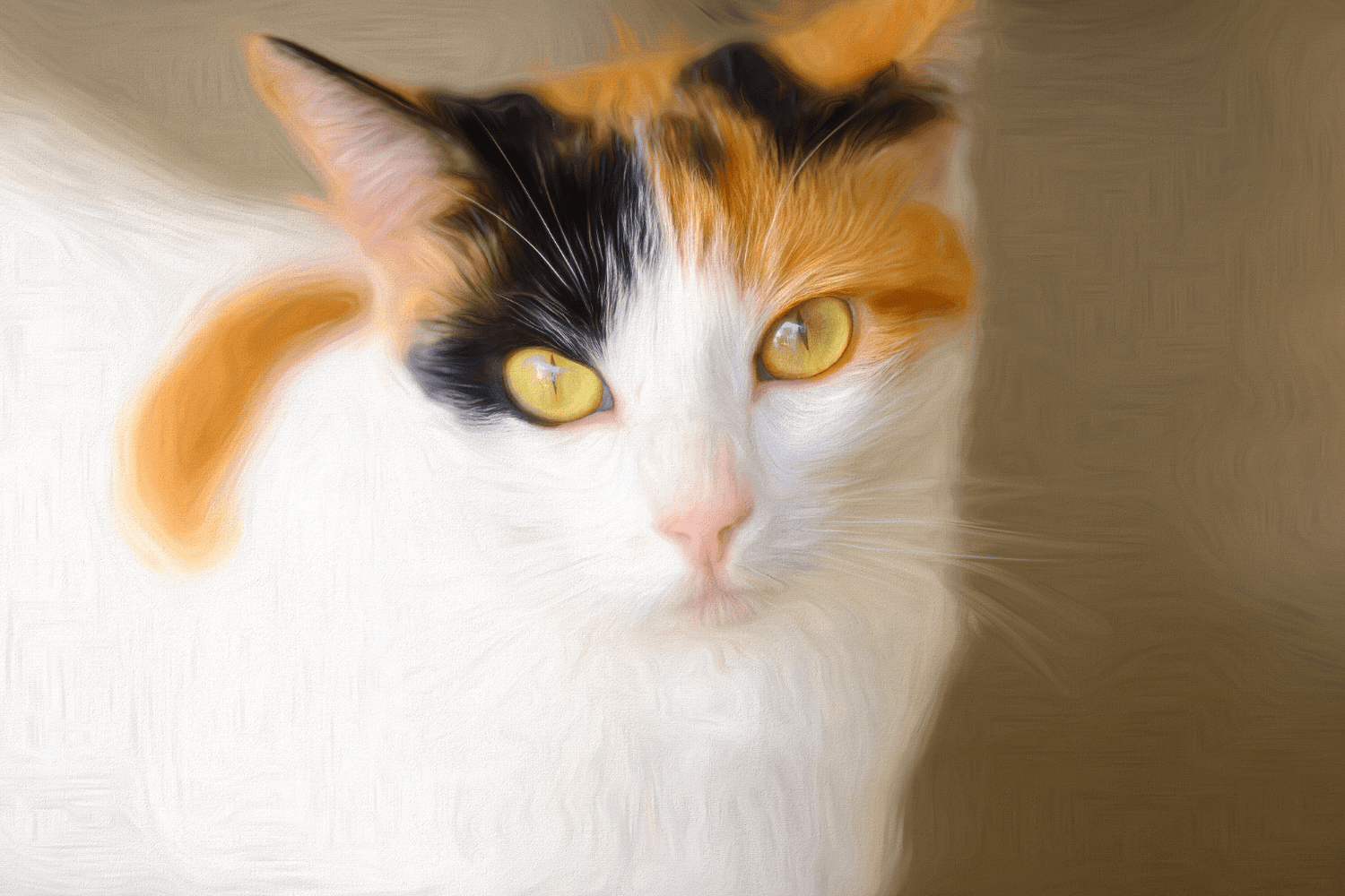 Calico cat with yellow eyes against a soft background