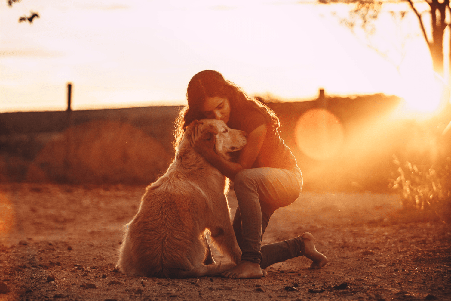 Purple Leash Project: Protecting Survivors With Pets
