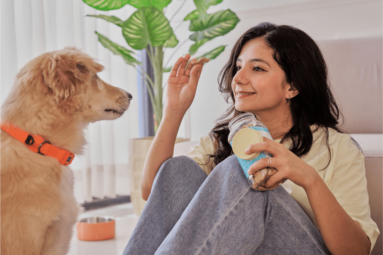 Bad Dog Treats For Dogs: What Every Pet Parent Must Know