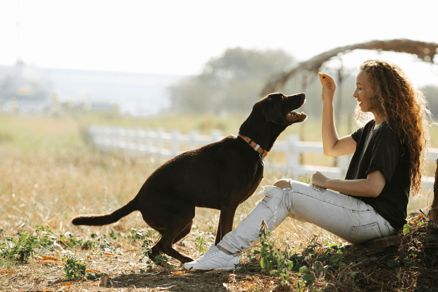 Woman training a dog with a treat outdoors