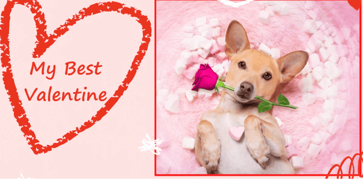 Pink and red heart with dog with rose in mouth