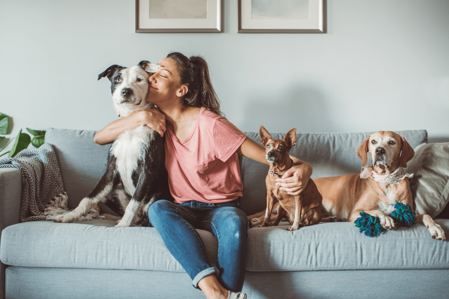 Woman hugging three dogs on a couch