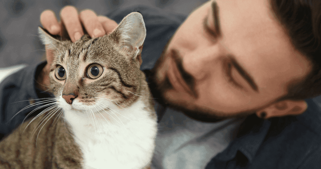 Man cuddling and petting a cat with a white chest