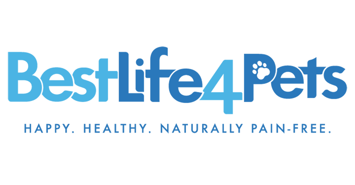gabapentin for dogs arthritis gabapentin for dogs arthritis