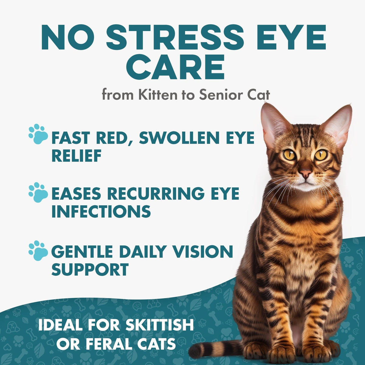 Cat Eye Infection & Vision Support Remedy BestLife4Pets
