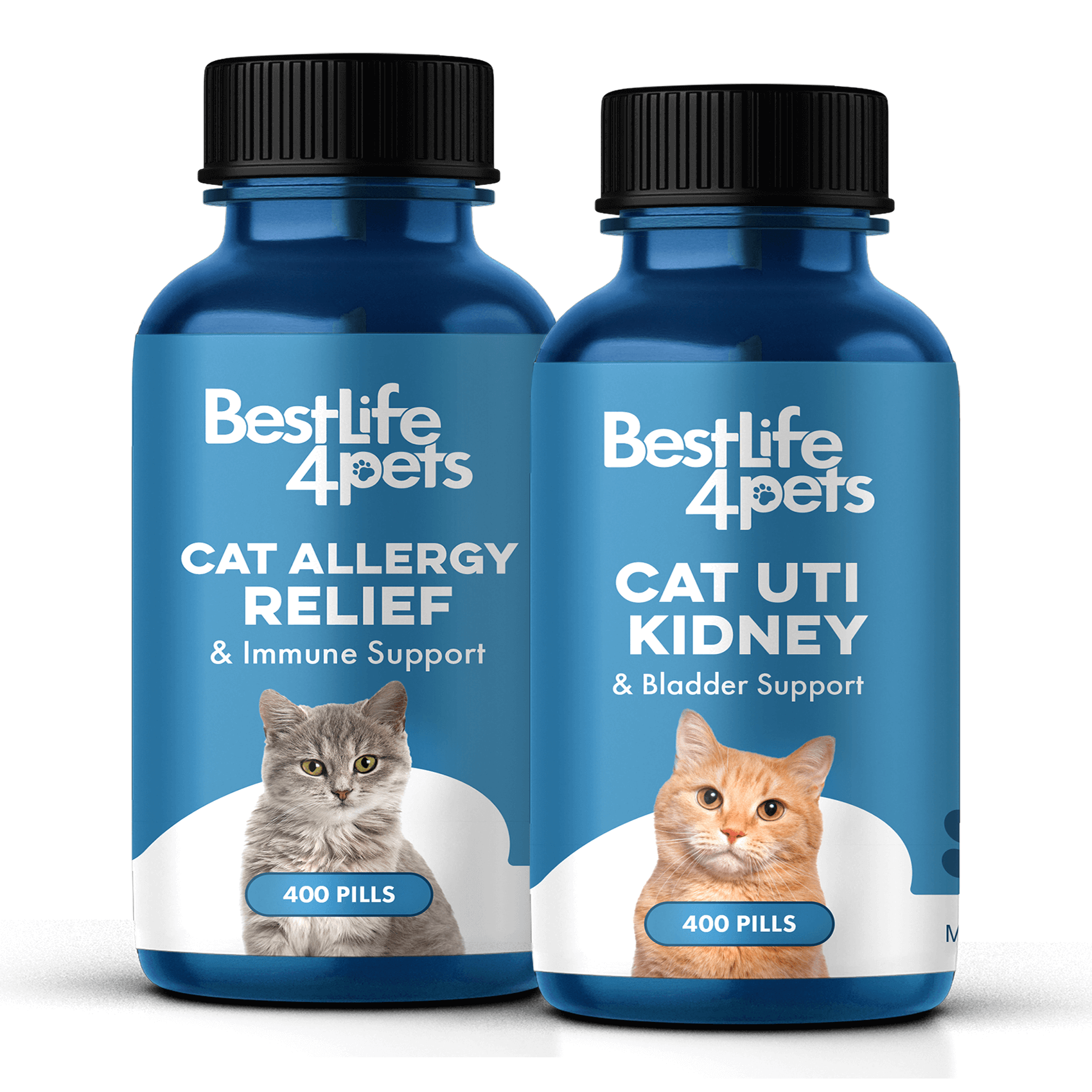 Cat uti crystals online