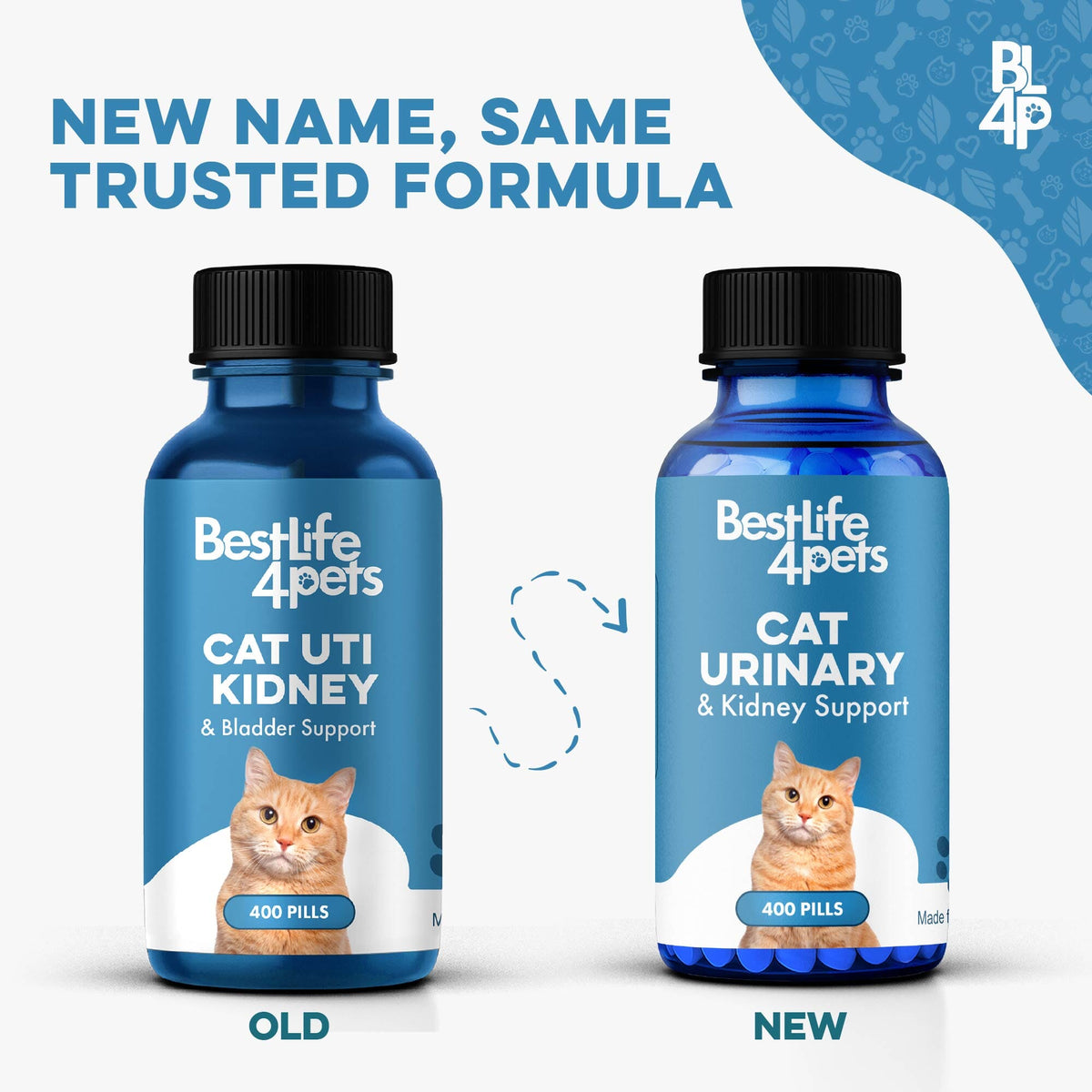 Cat UTI & Kidney Support Remedy BestLife4Pets