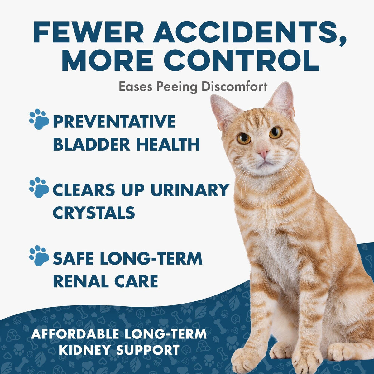 Cat UTI & Kidney Support Remedy BestLife4Pets