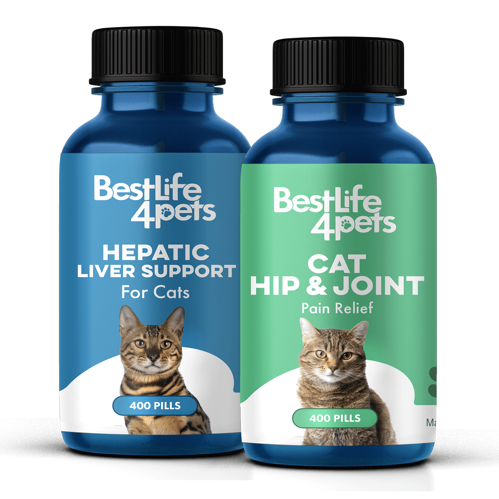 Safe pain meds for cats new arrivals