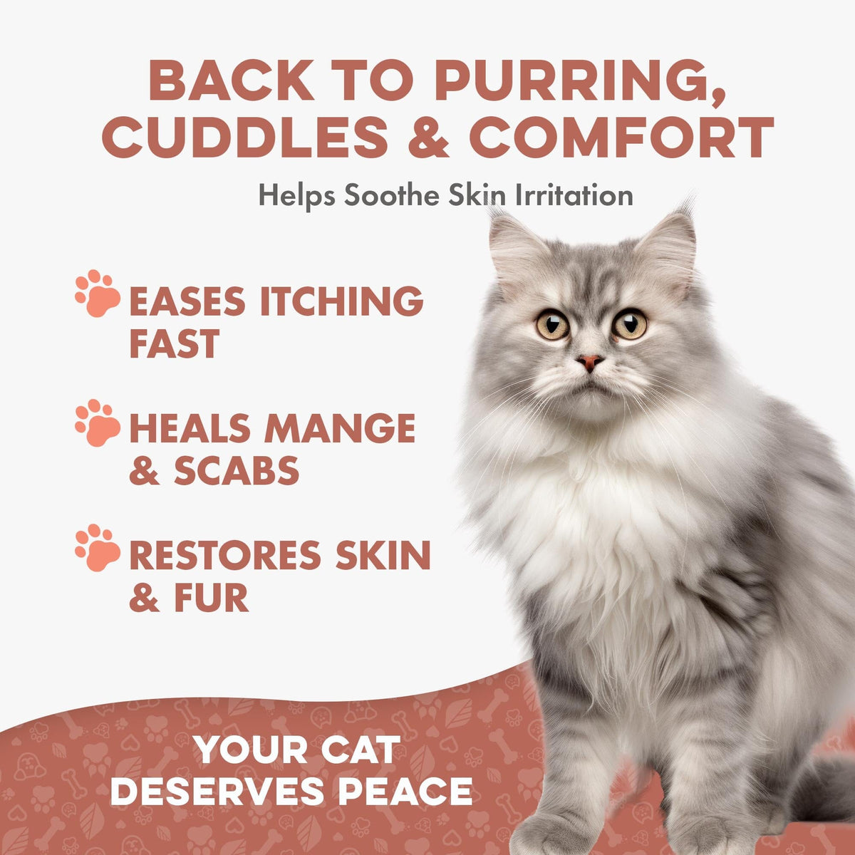 Cat Mange Treatment | Sarcoptic, Demodectic & Ear Mites BestLife4Pets