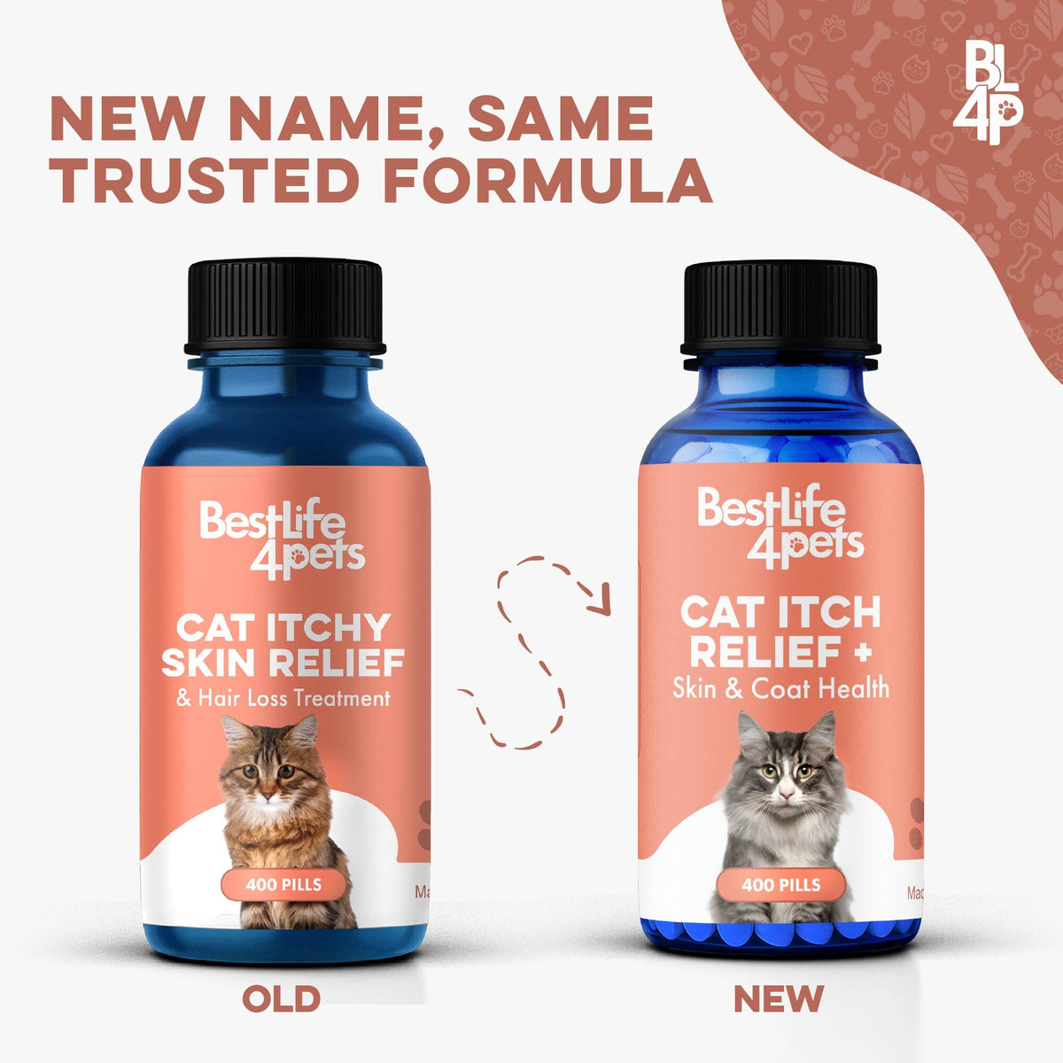 Cat Itchy Skin & Healthy Coat Remedy BestLife4Pets