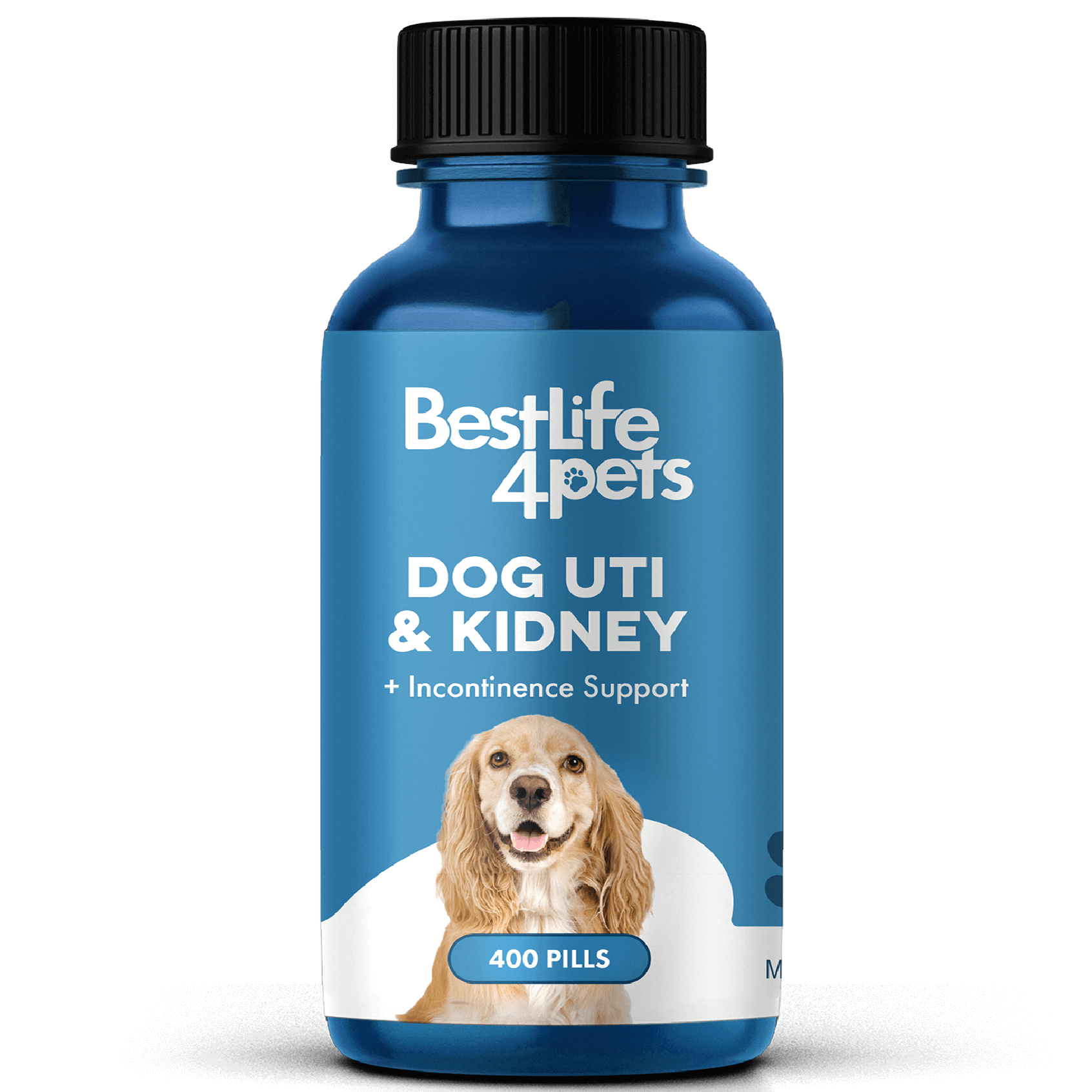Dog UTI & Kidney Infection Treatment for Dogs BestLife4Pets