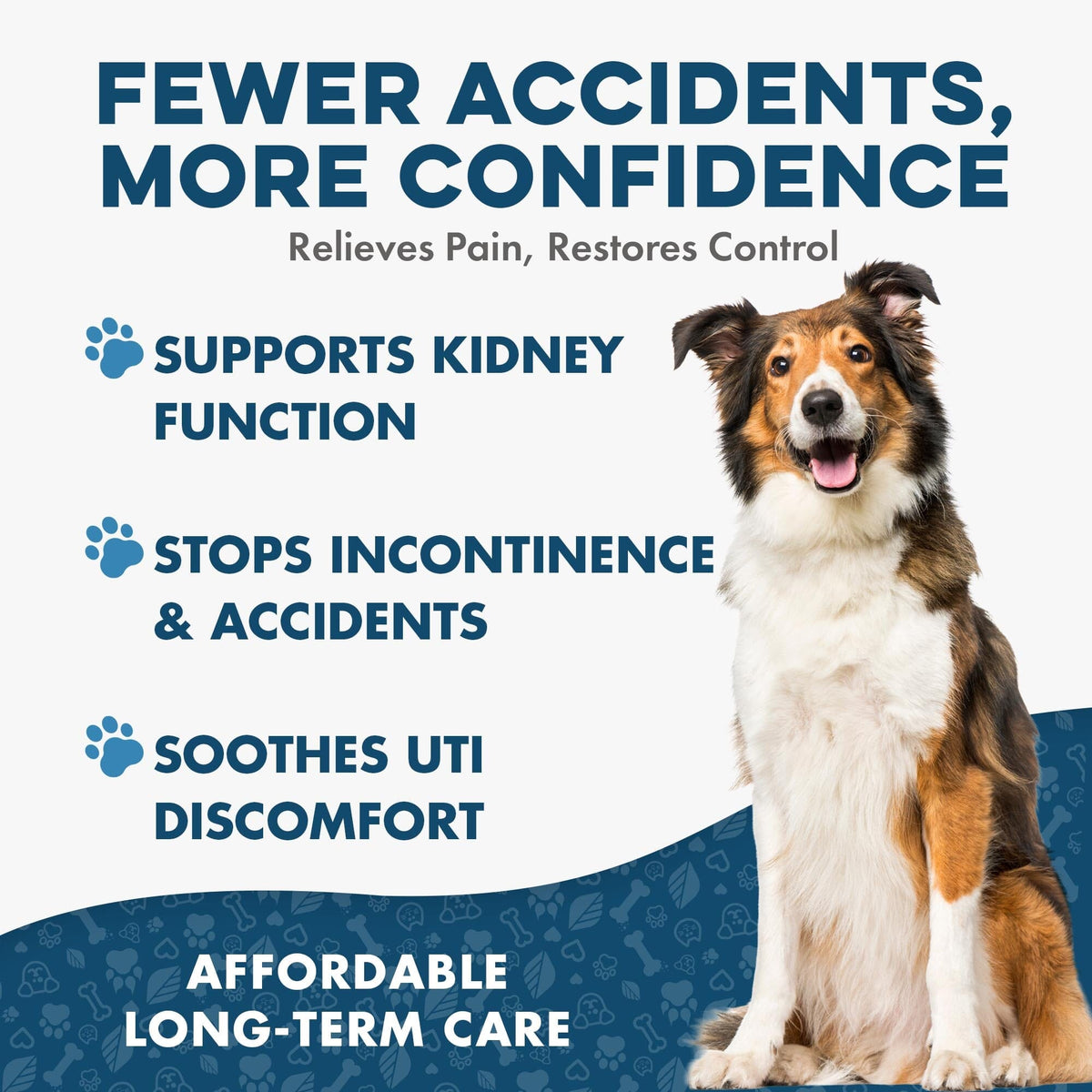 Dog UTI & Kidney Support Remedy BestLife4Pets
