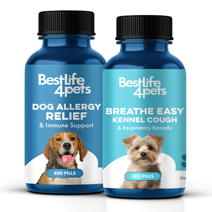Dog Respiratory Cold Relief Bundle (Coughing, Sneezing, Wheezing, Kennel Cough)