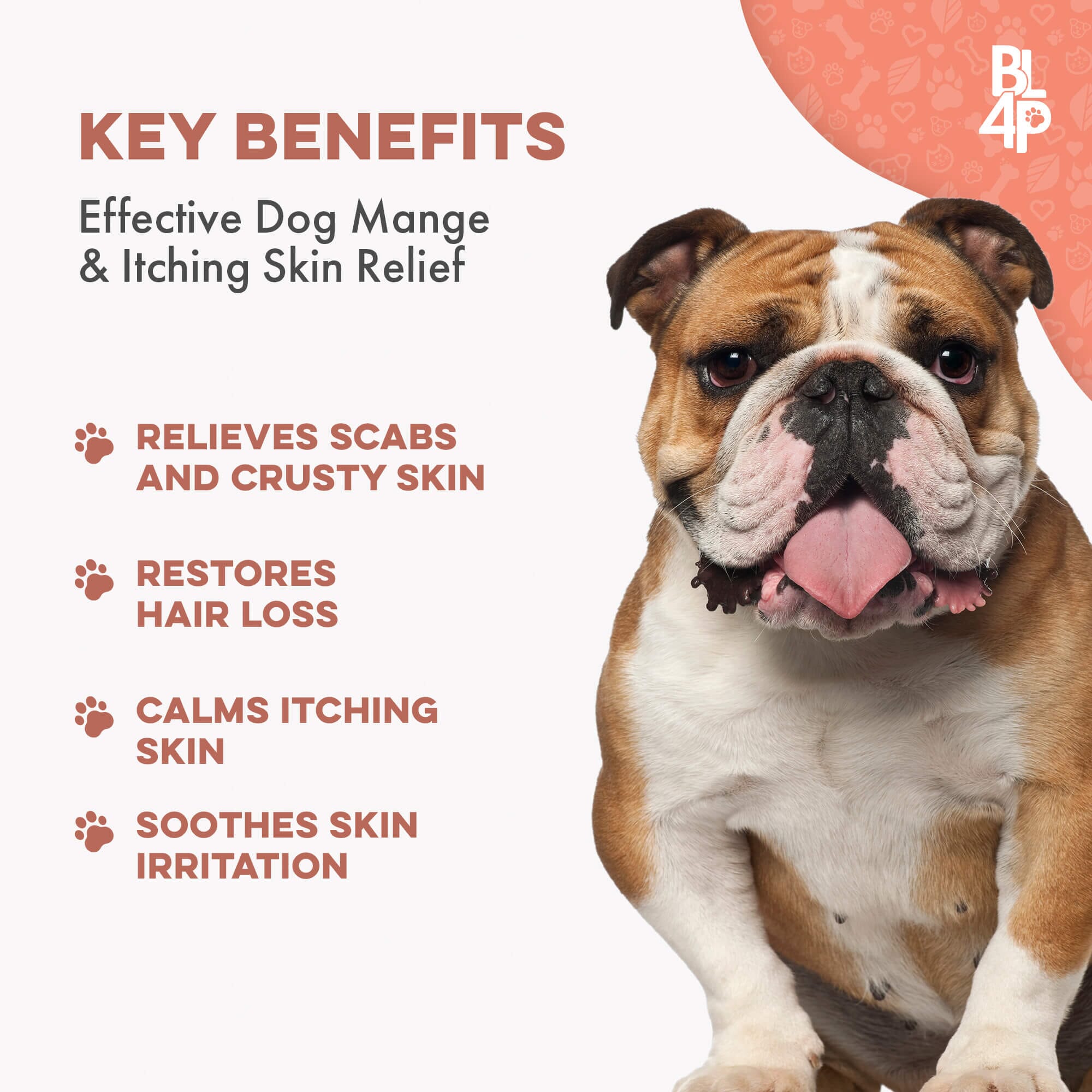 Dog Mange Treatment - Relief for Demodectic and Sarcoptic Mange (Scabies) BestLife4Pets