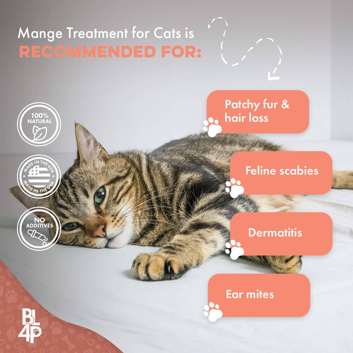 Mange Treatment for Cats - Treats Feline Sarcoptic & Demodectic Mange, Scabies & Ear Mites BestLife4Pets