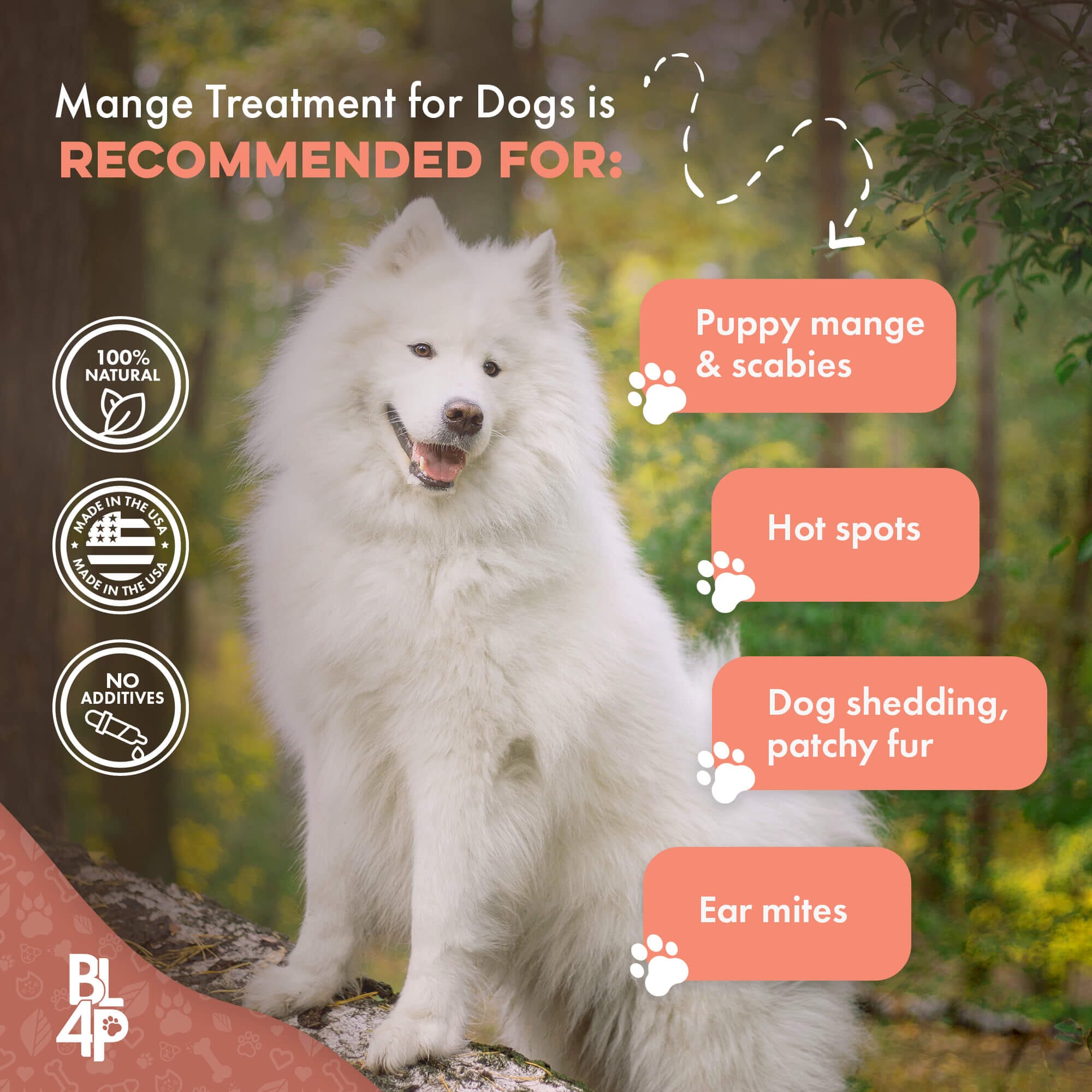 Dog Mange Treatment - Relief for Demodectic and Sarcoptic Mange (Scabies) BestLife4Pets