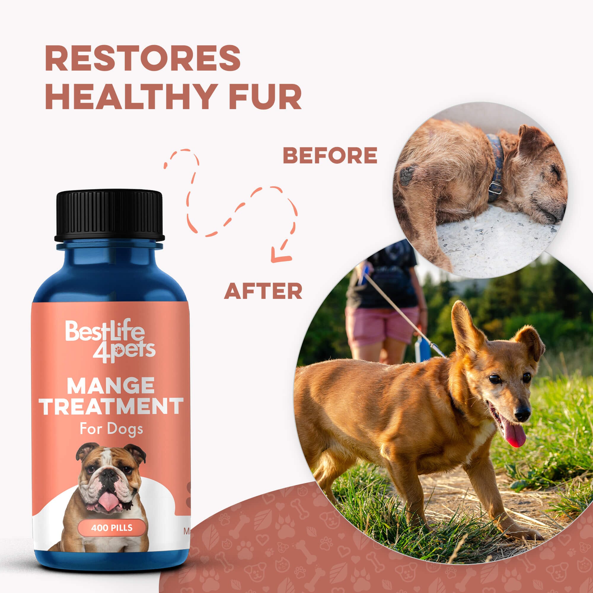 Dog Mange Treatment - Relief for Demodectic and Sarcoptic Mange (Scabies) BestLife4Pets