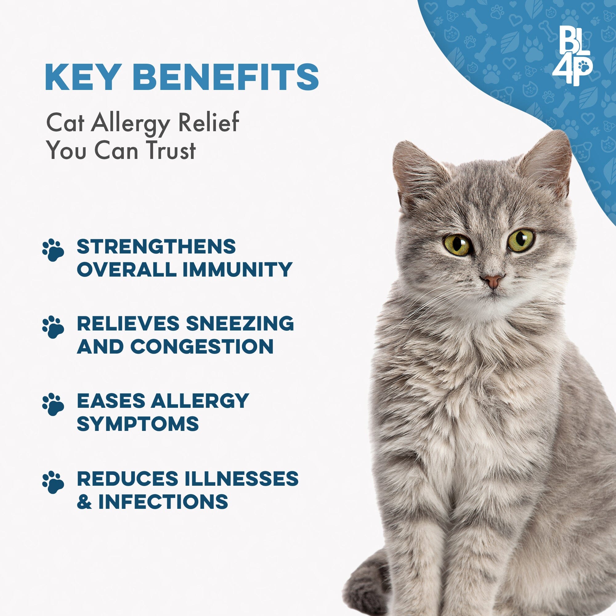 Cat Allergy Relief & Immune Support BestLife4Pets