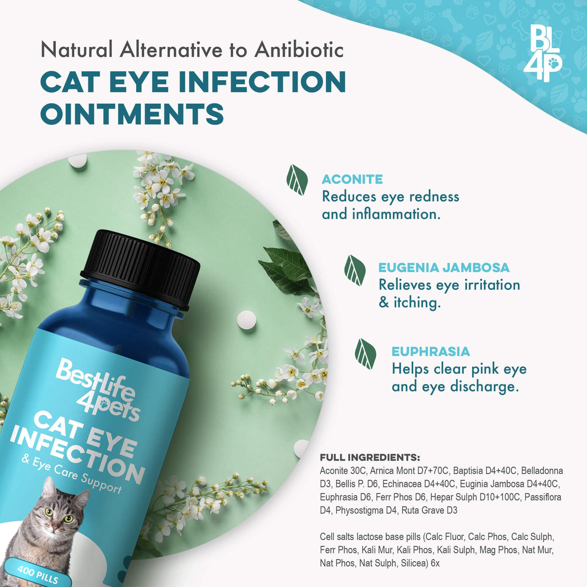 Cat Eye Infection, Eye Care & Vision Support BestLife4Pets