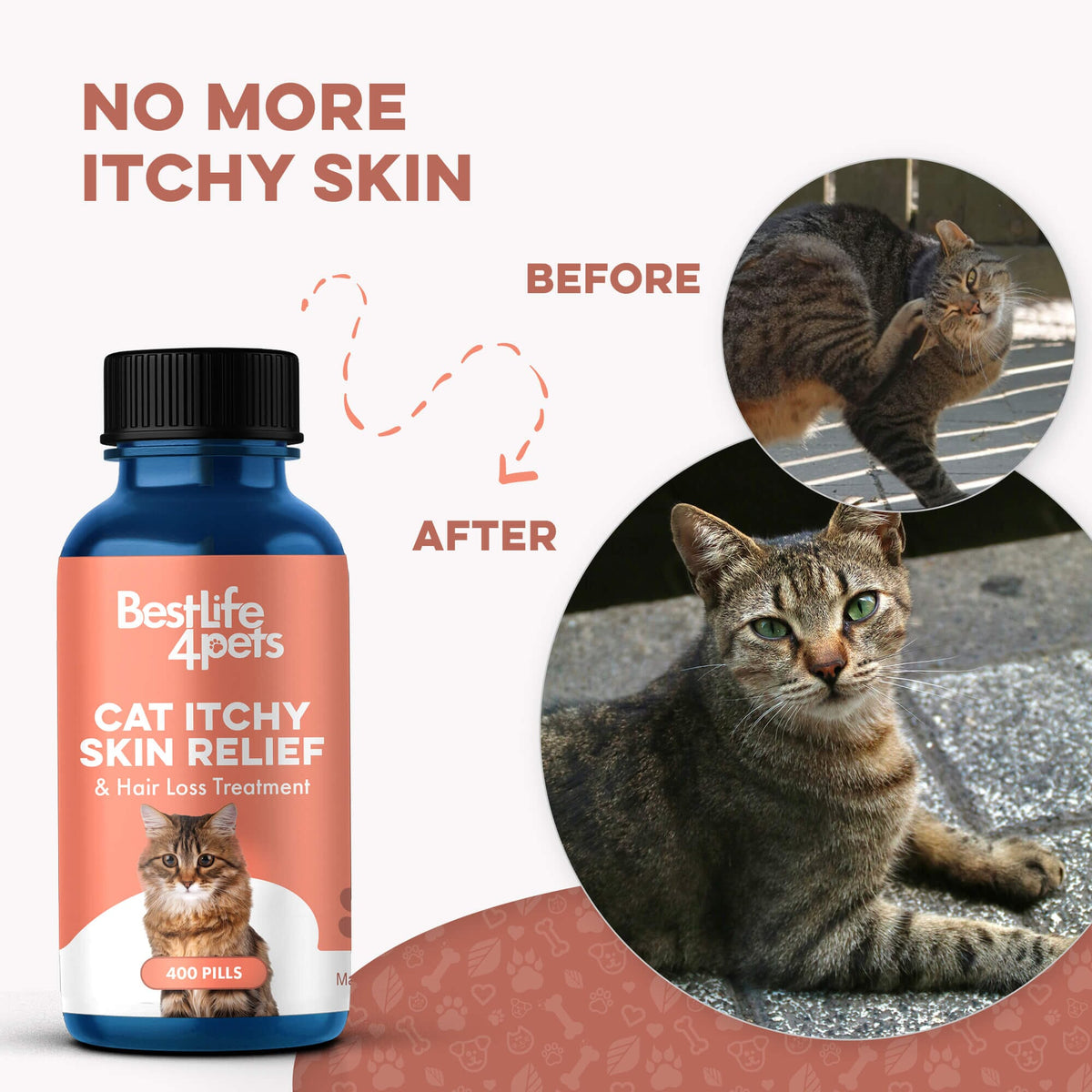 Healthy Skin for Cats - Cat Miliary Dermatitis, Skin Allergy & Cat Scabs Remedy BestLife4Pets