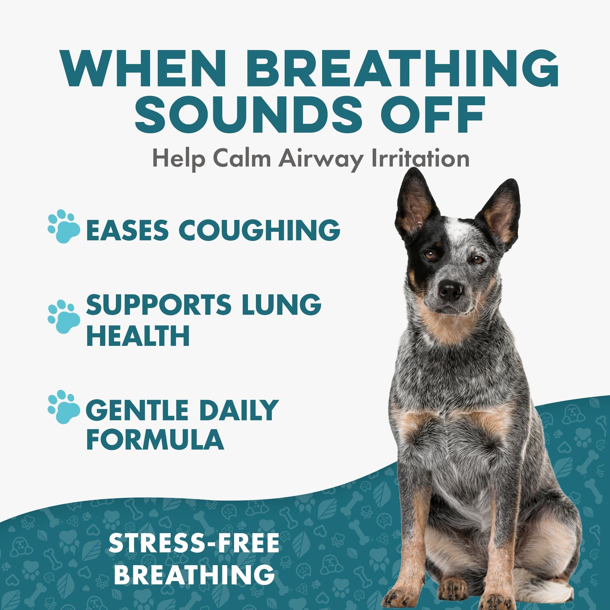 Dog Kennel Cough & Respiratory Support Remedy BestLife4Pets