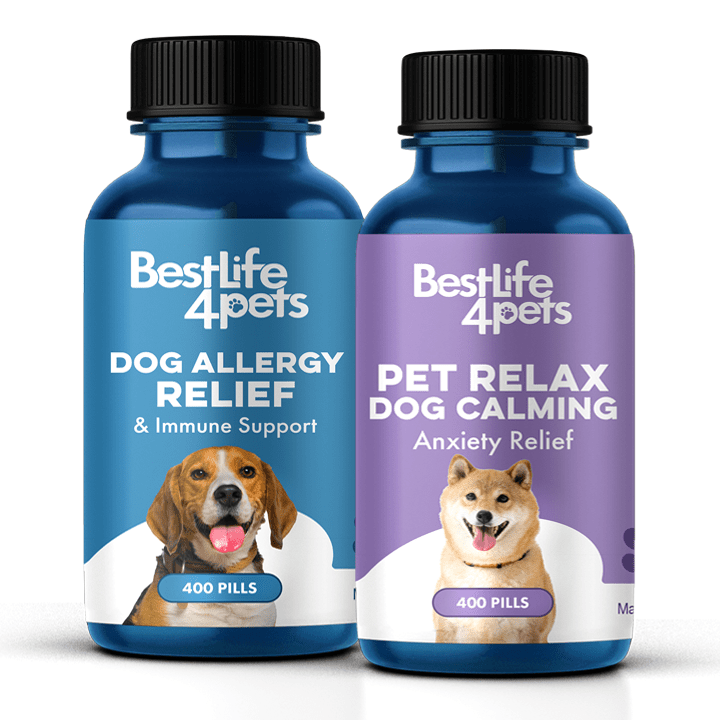 Natural ways to treat dog anxiety hotsell