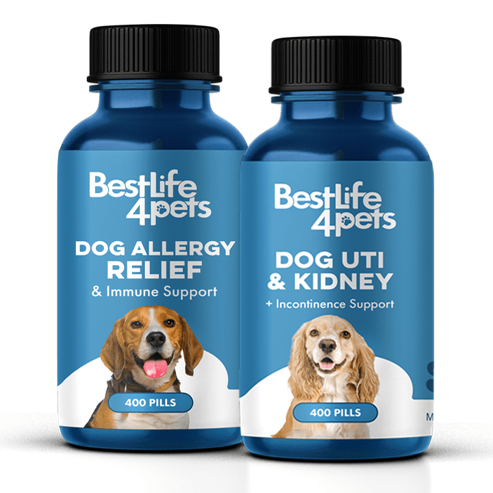 Dog UTI & Bladder Health Bundle (Urinary Tract Infections, Incontinence, Frequent Urination) BestLife4Pets