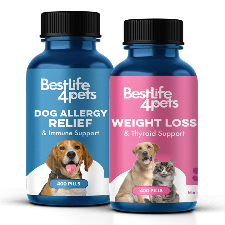 Dog Weight Loss Hypothyroid Support Bundle (Weight Loss, Thyroid Health)