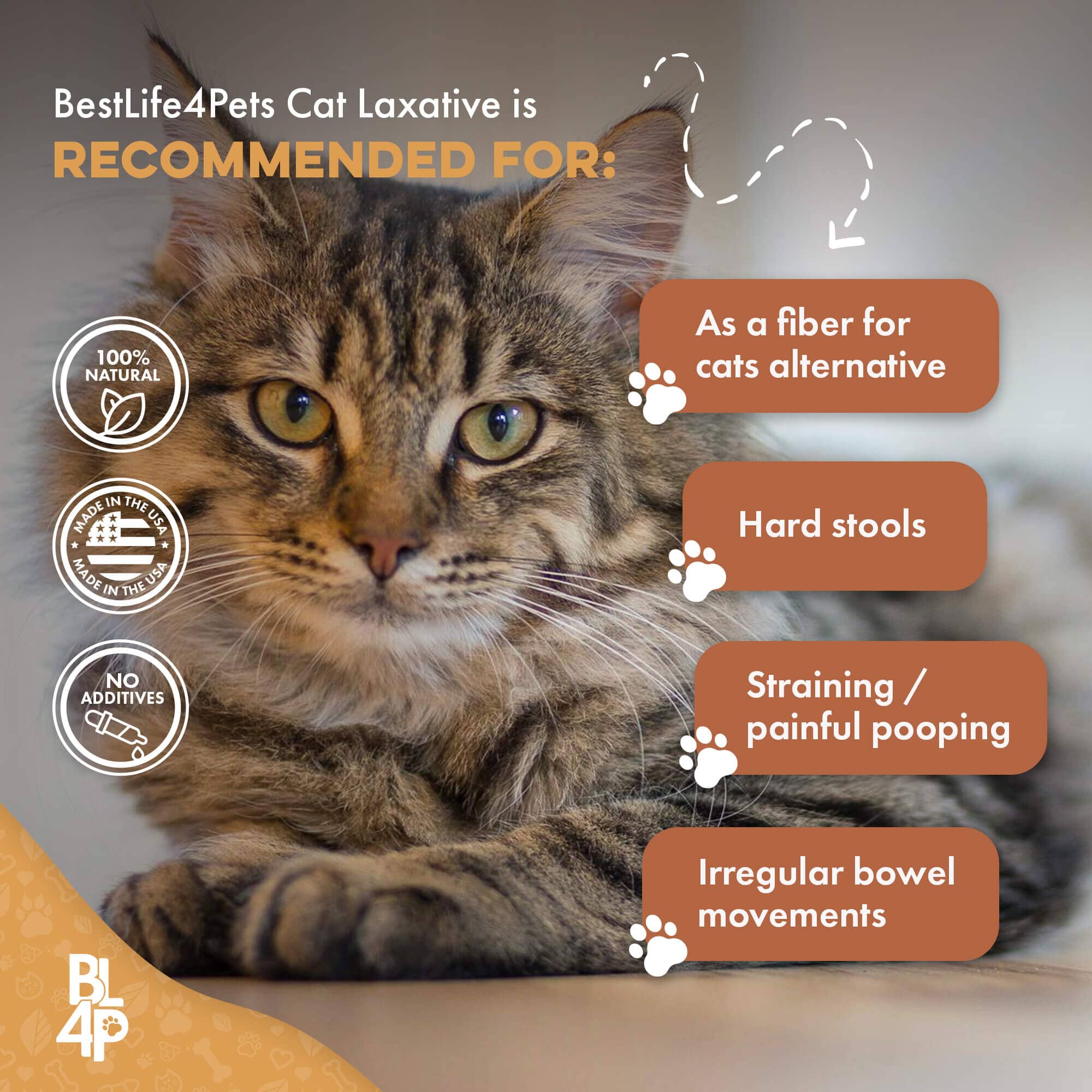 Natural Cat Laxative & Constipation Treatment BestLife4Pets