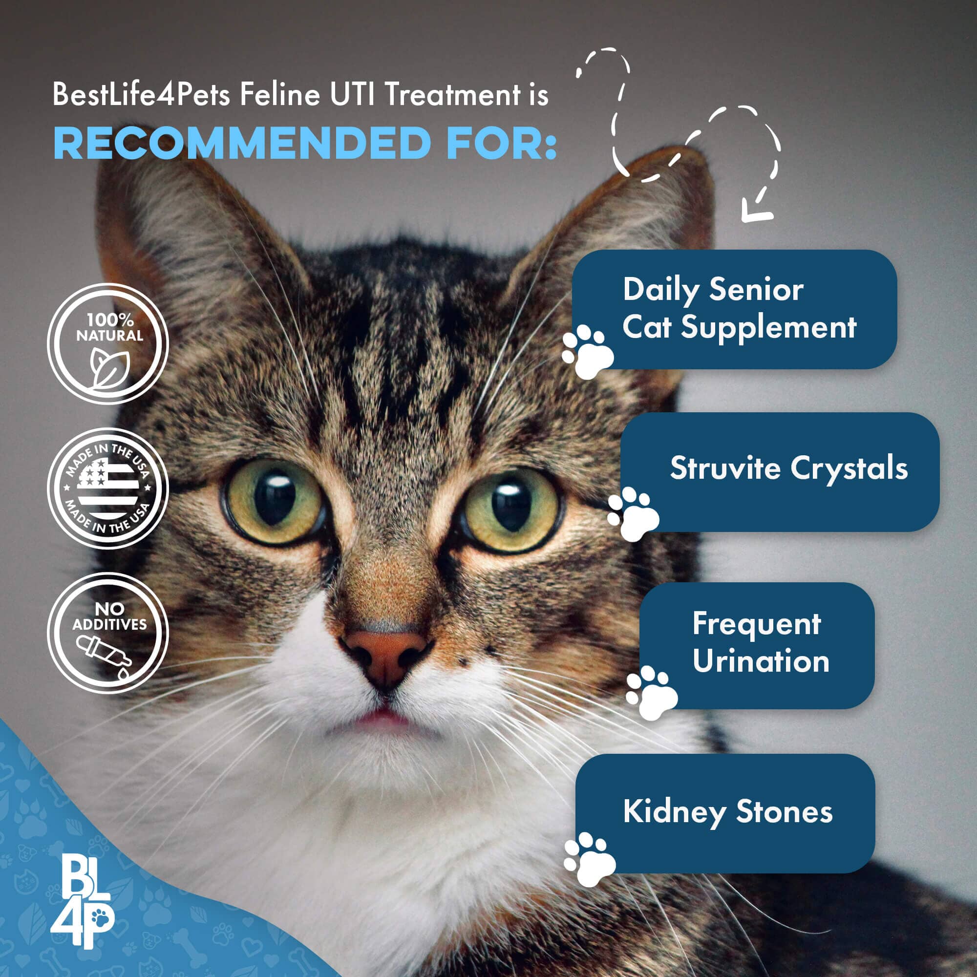 Natural Cat UTI & Kidney Remedy - Reduces Infections and Supports Optimal Bladder Function BestLife4Pets