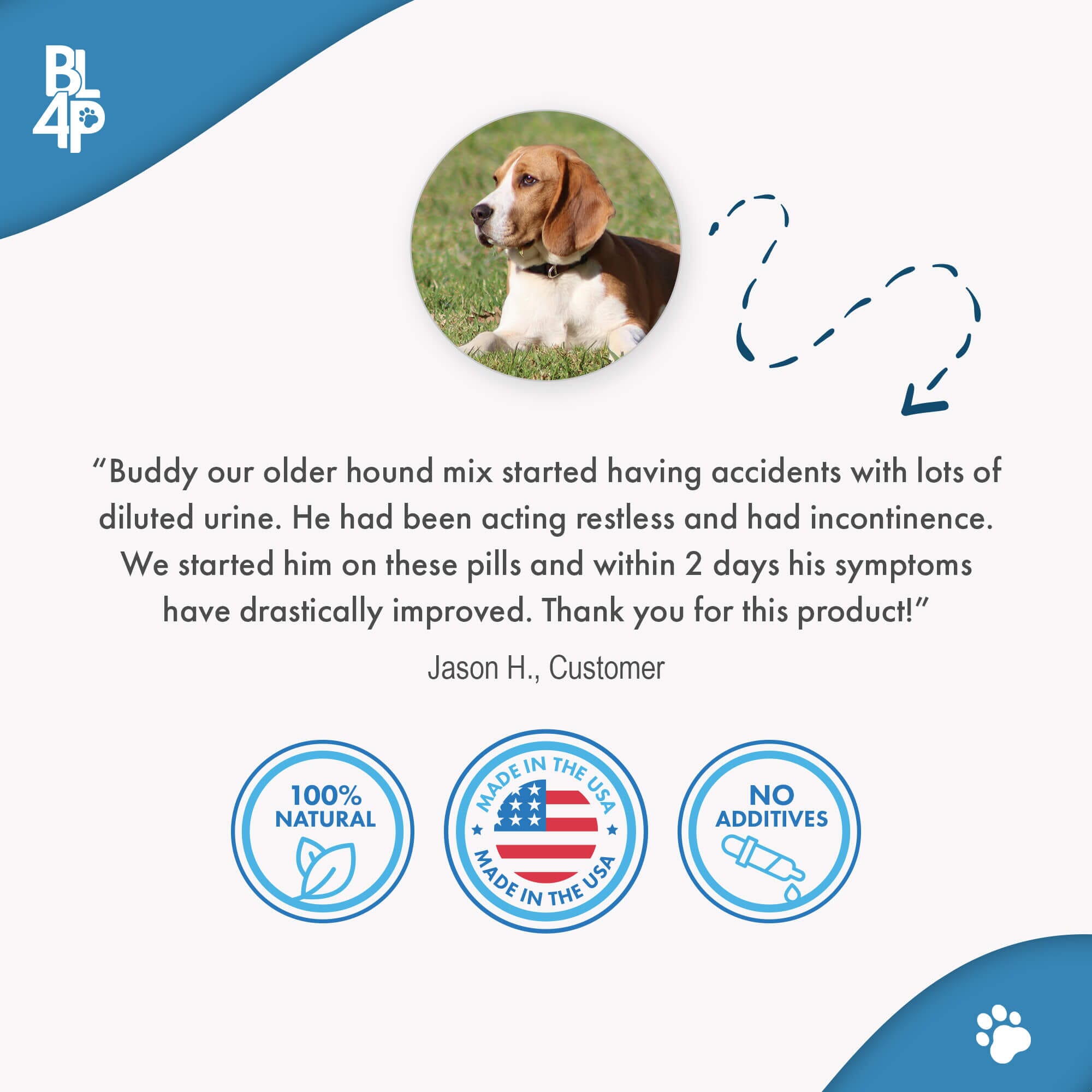 Dog UTI & Kidney Infection Treatment for Dogs BestLife4Pets