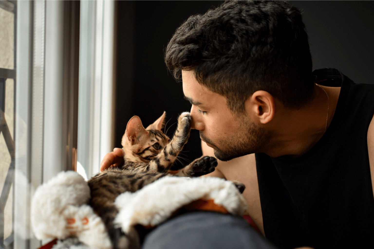 Cat and Therapy: How Felines Transform Healing