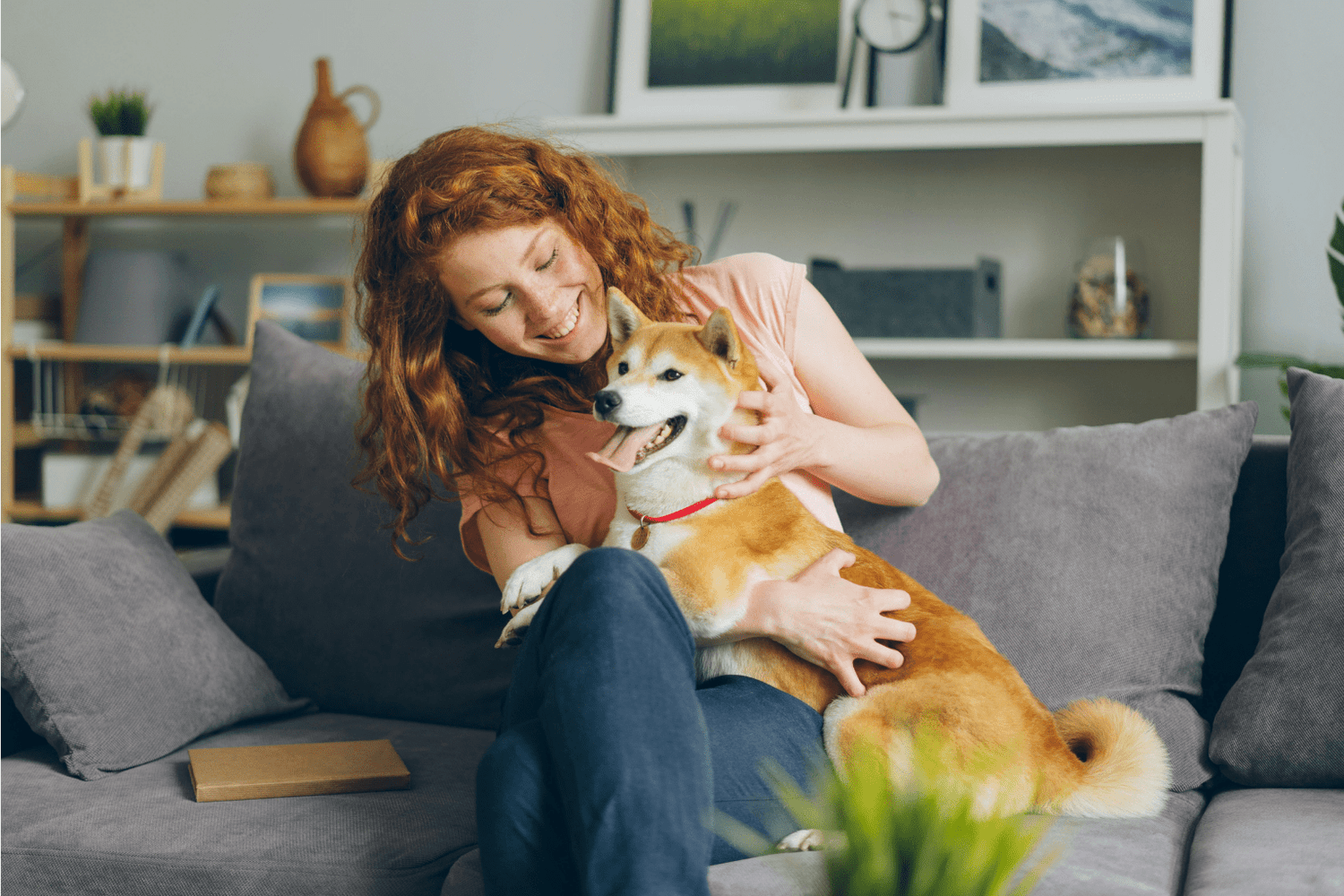 Guide Dogs Thrive: Complete Care & Wellness Tips