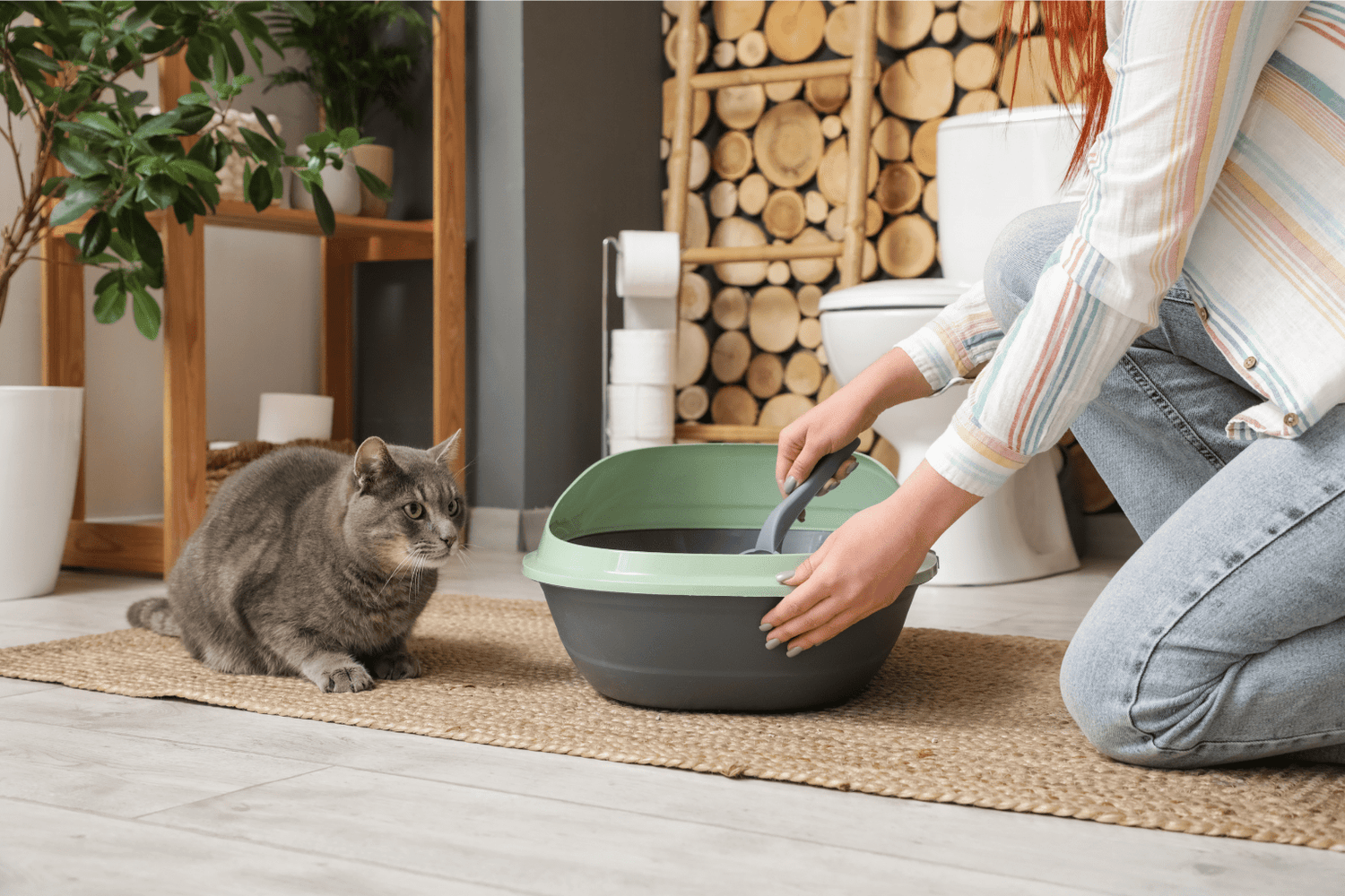 Worlds Best Cat Litter Reviews: 2025 Complete Guide