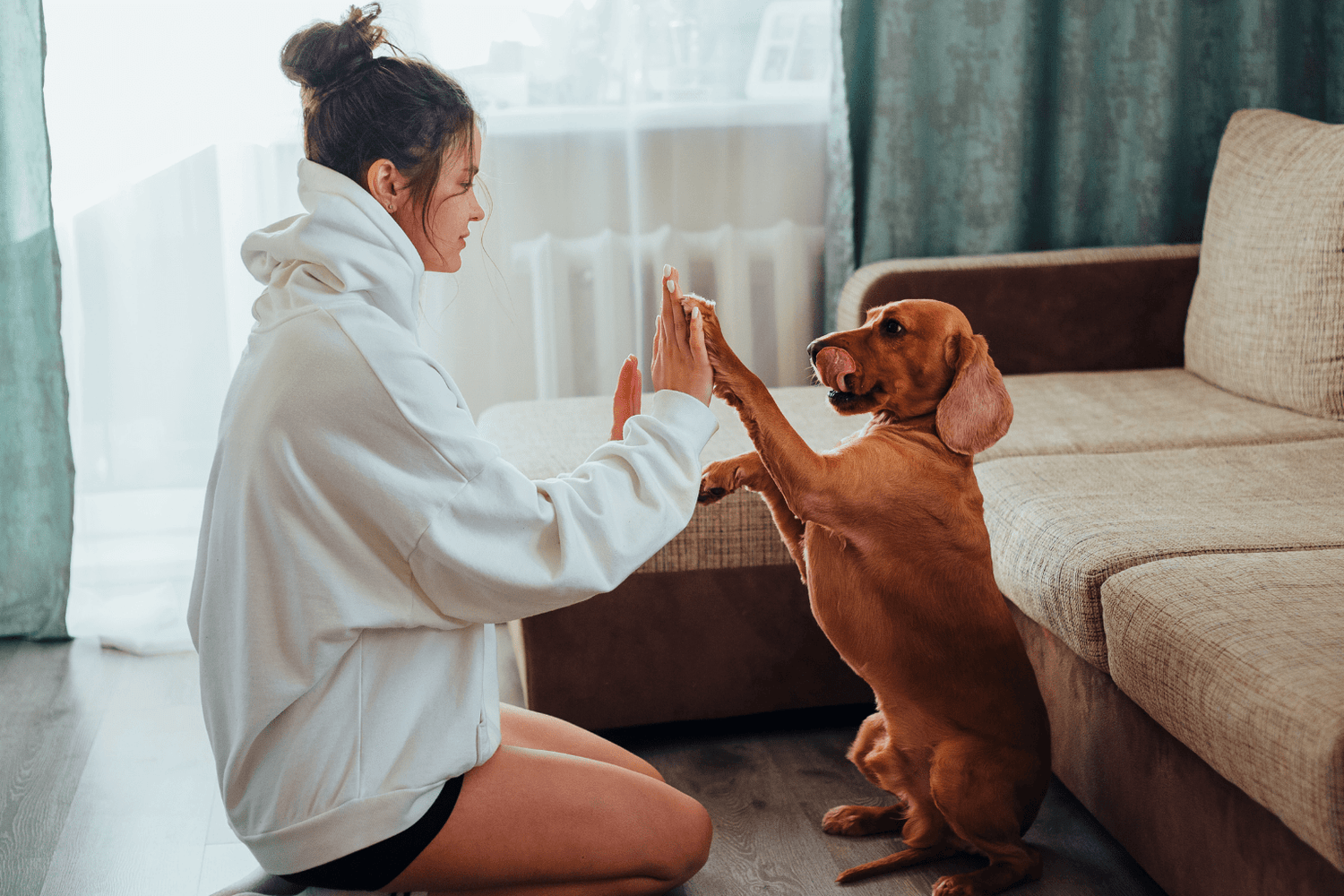 Woman and dog doing a high five at home