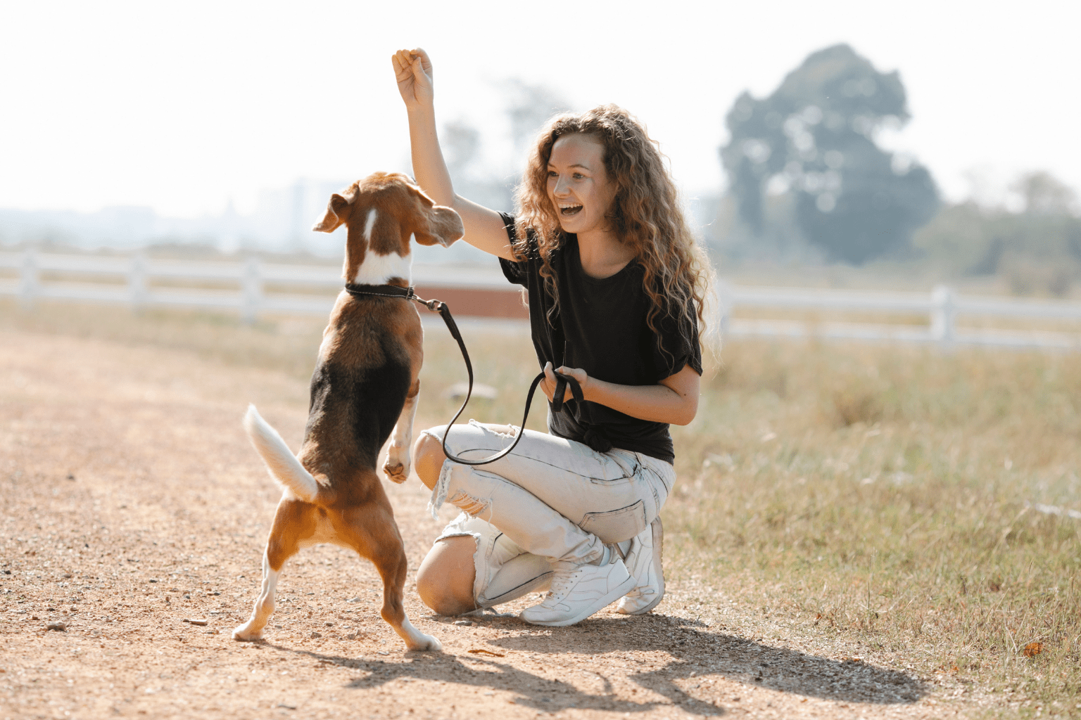 Woman training a dog outdoors, holding a treat as the dog stands on hind legs