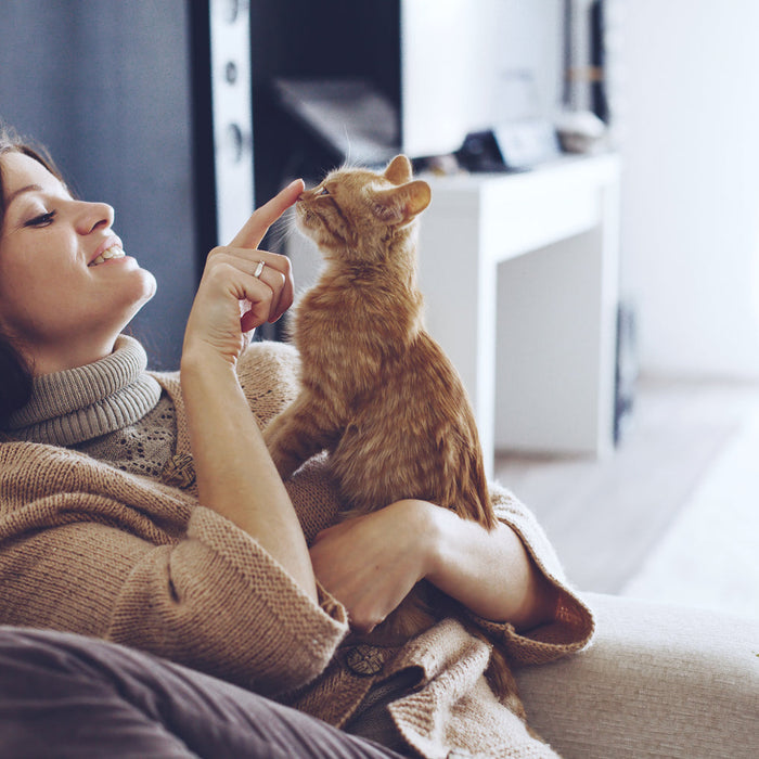 woman playing with orange cat