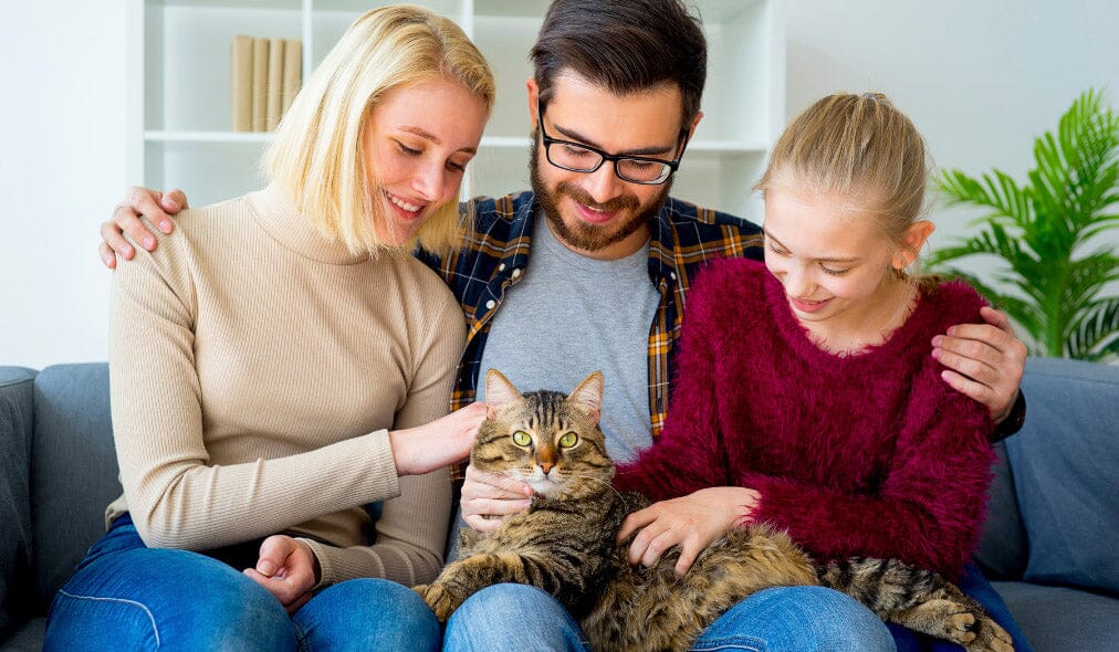 a family with a cat