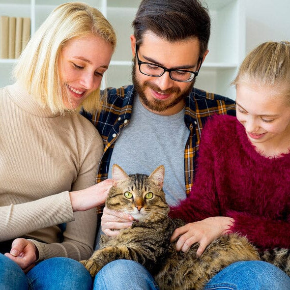 a family with a cat