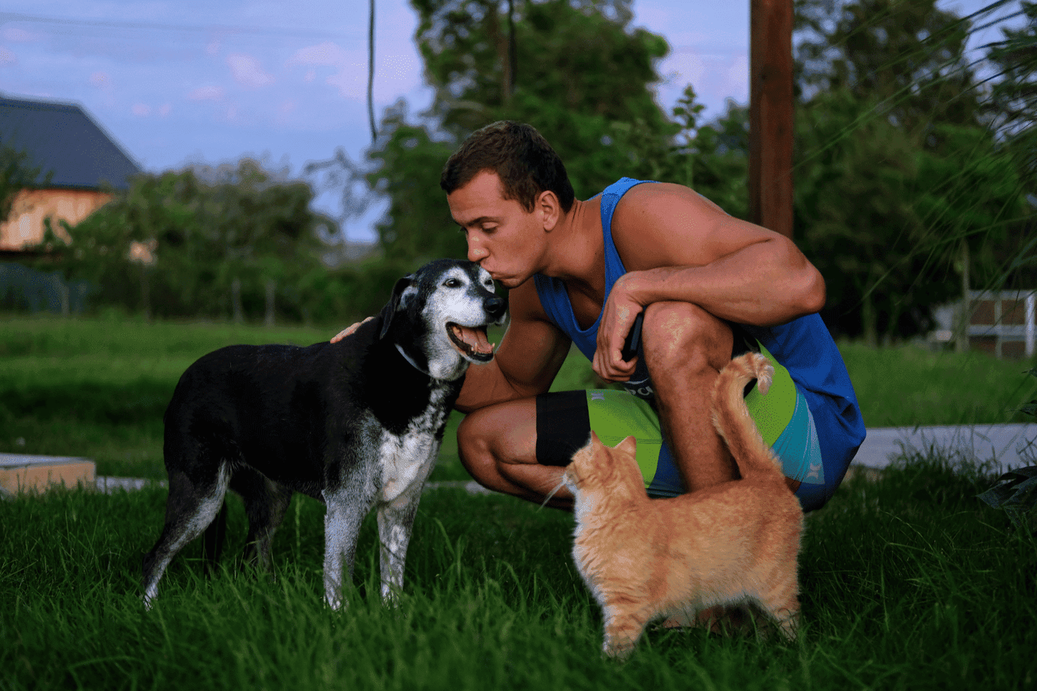 Dog and Cat with Man in Park