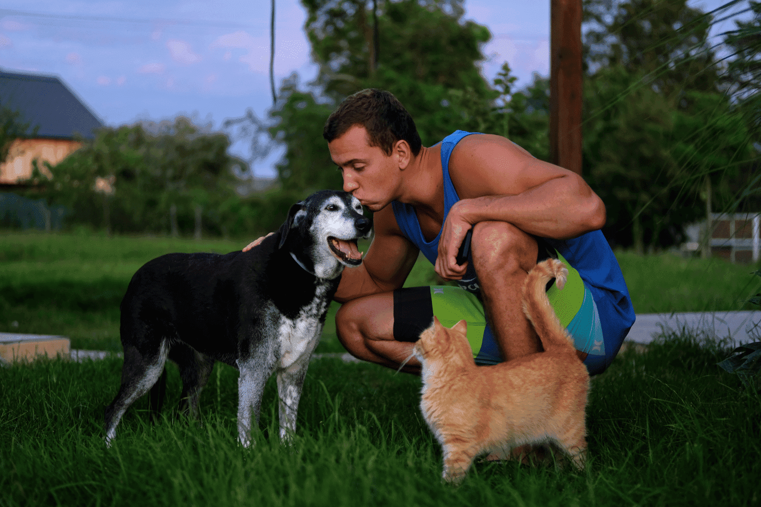 Dog and Cat with Man in Park