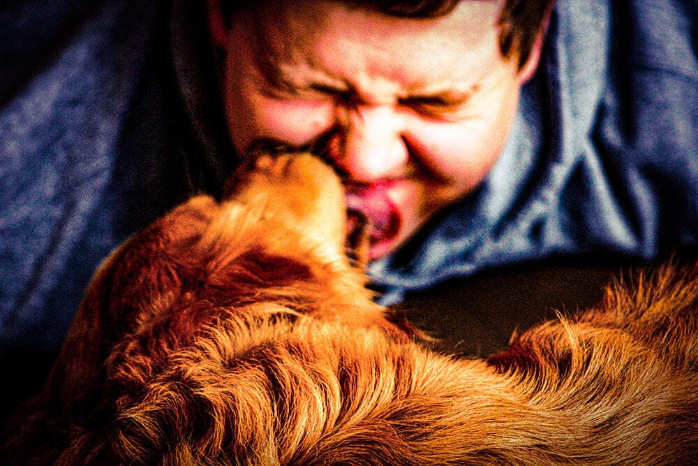 dog licking person's face