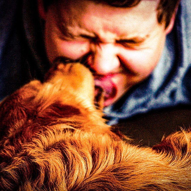 dog licking person's face