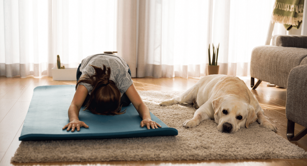 woman yoga exercising with a white lab dog beside her
