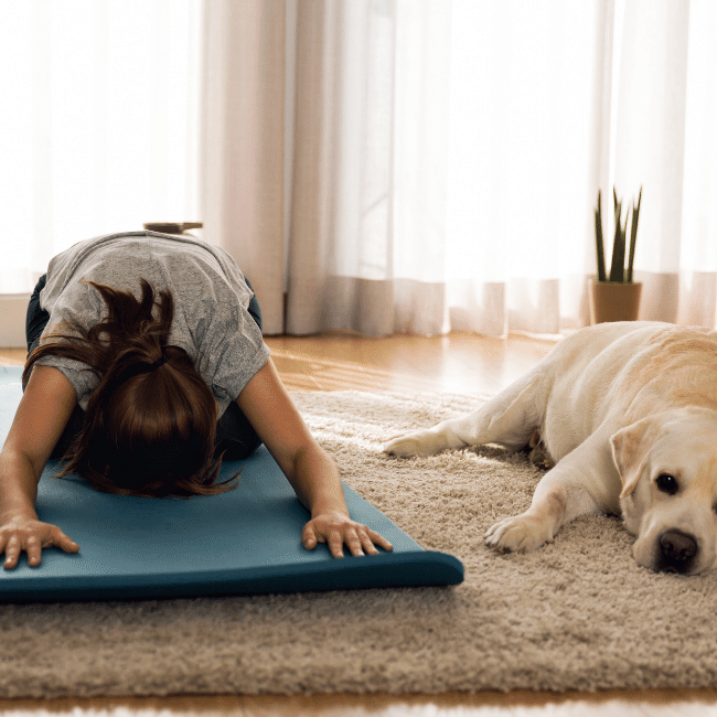 woman yoga exercising with a white lab dog beside her