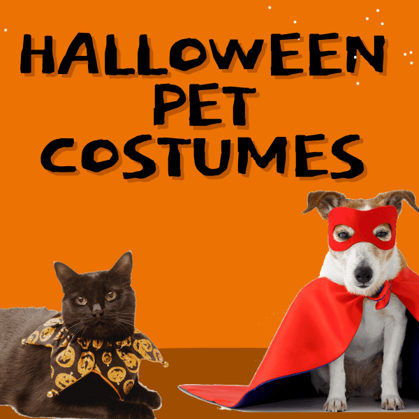 halloween pet costumes