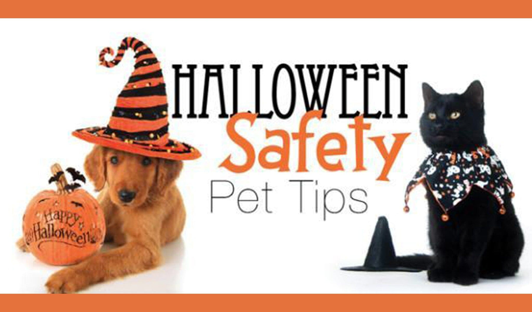 dog and cat dressed up for Halloween with pet safety sign