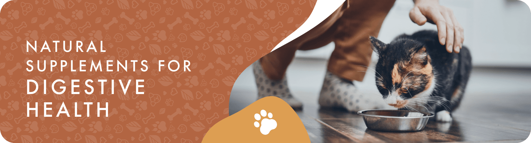 Digestive Health for Dogs and Cats